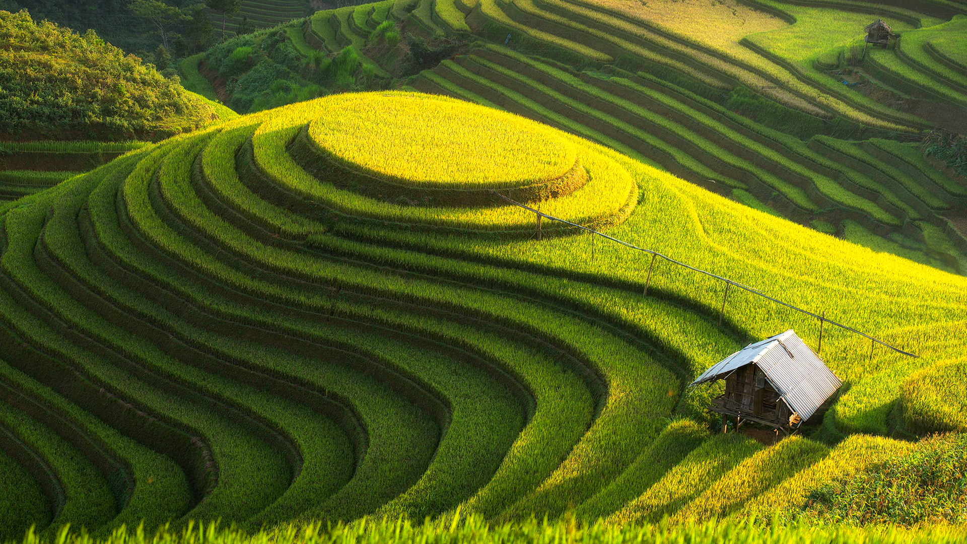 一米等于多少分米(二年级数学公式整理 孩子暑假预习必备资料)-华海博客