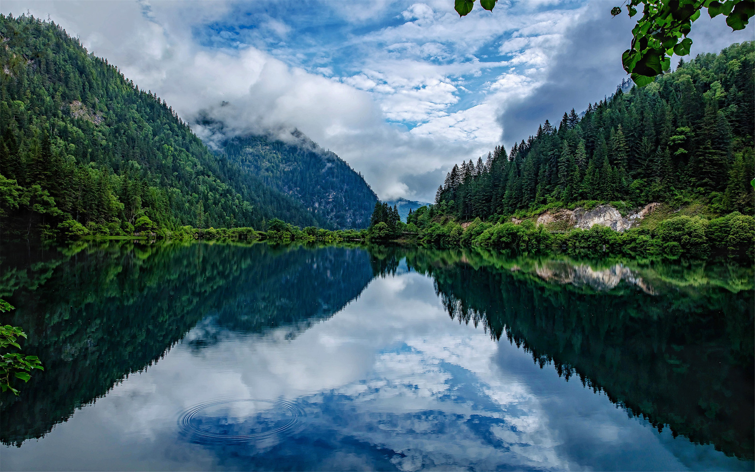 恩格尔系数是什么(这些系数你都知道吗——恩格尔系数、基尼系数)-华海博客