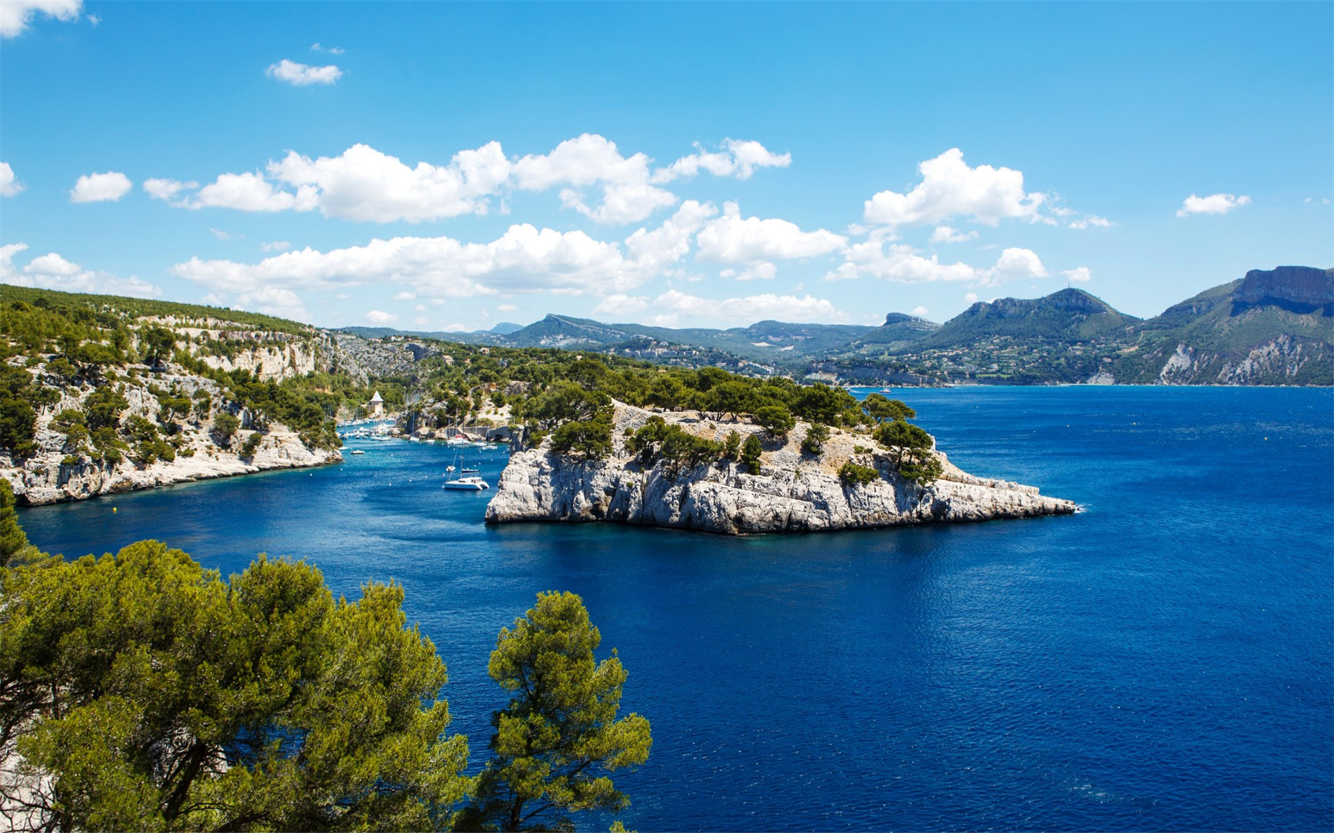 助理医师(不做学徒,做助理有什么要求?)-华海博客