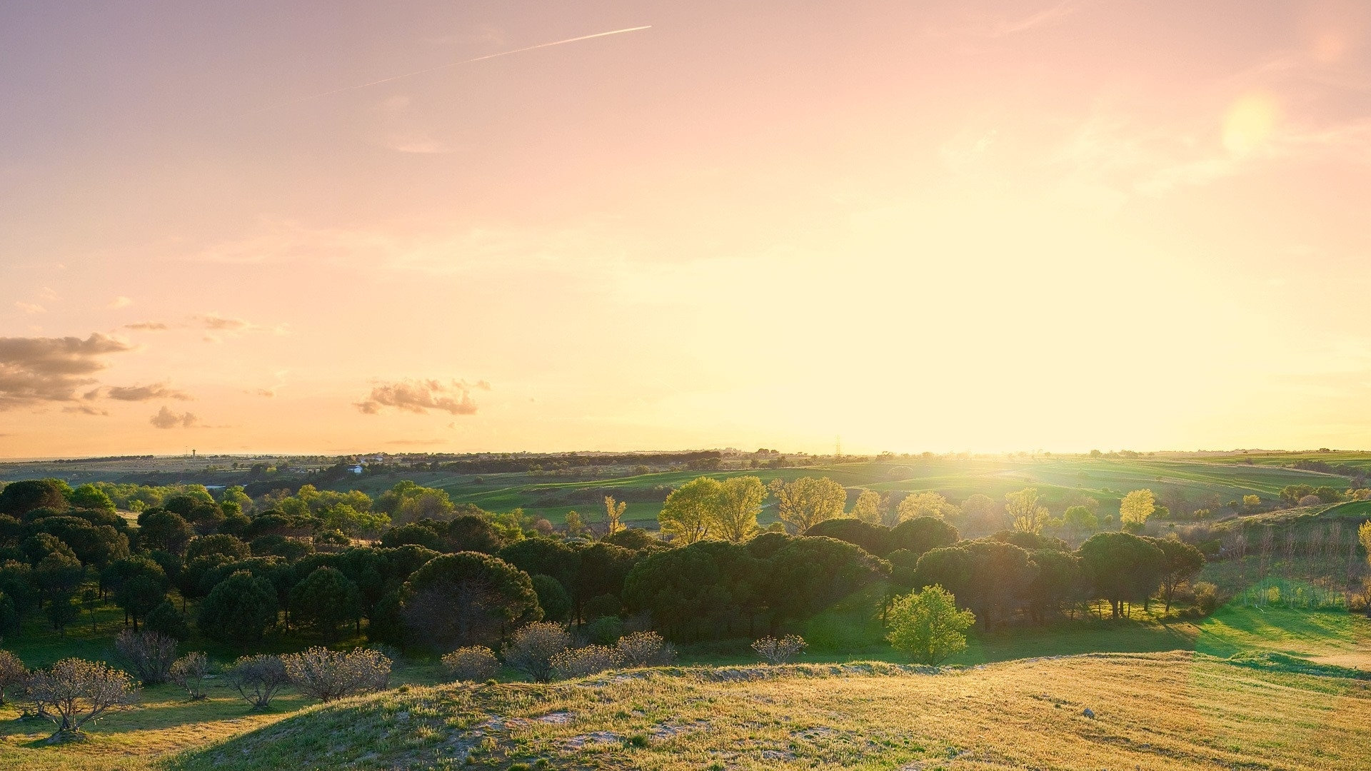 都市修仙高手(修真小说推荐：年度好书《都市：修仙十年，下山即无敌》错过血亏)-华海博客
