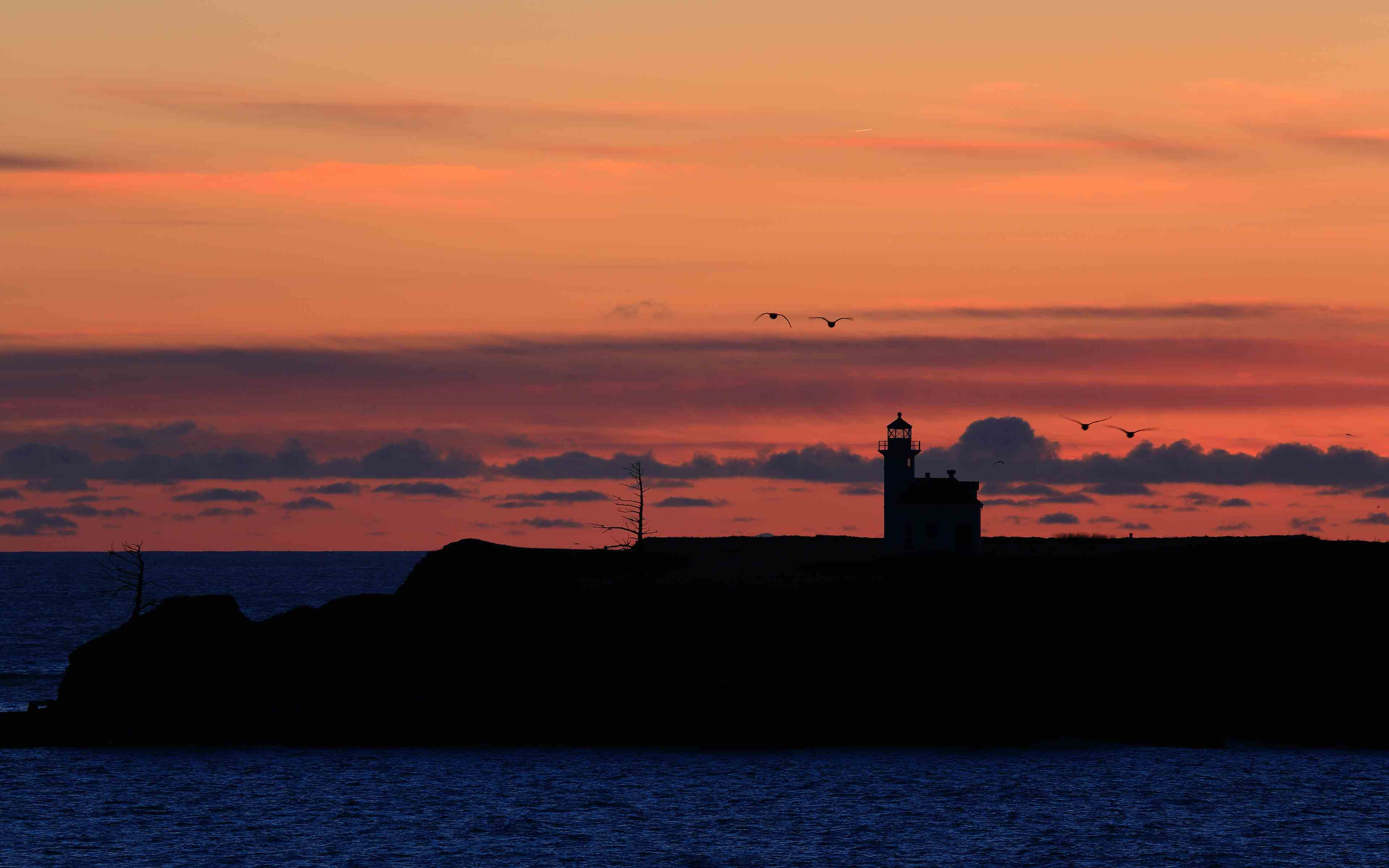 爱尔兰哨笛，欢快的节奏，不一样的异域风情-华海博客