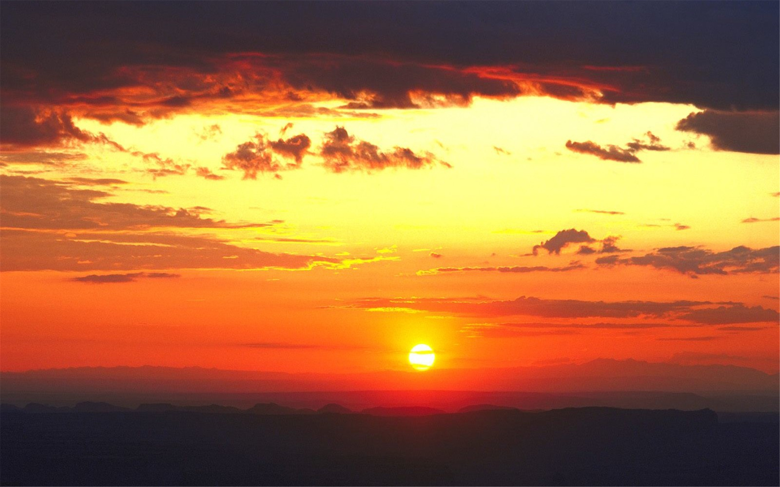 交通标识(驾考【科目一】必考：交通标志大全)-华海博客