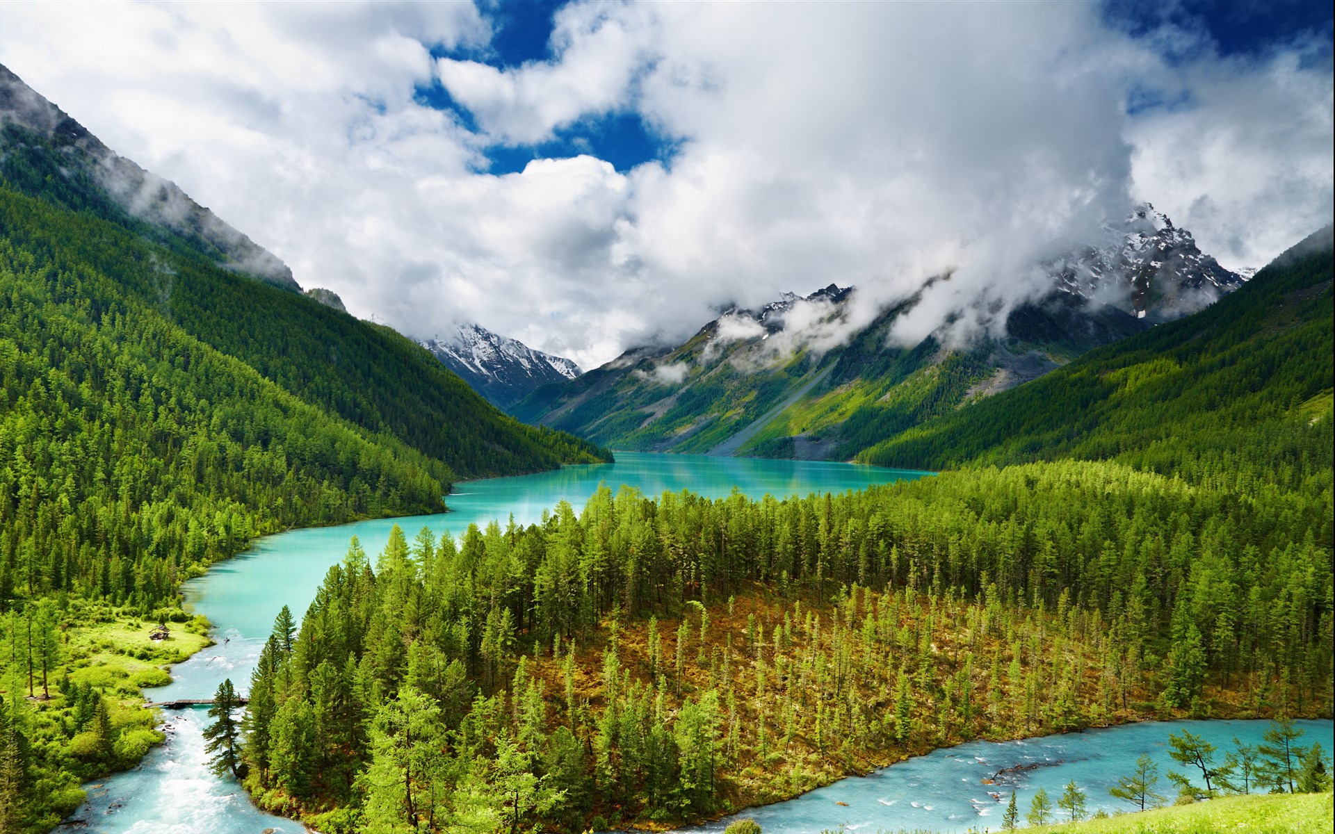 淡菜是什么(你知道吗：“淡菜”不是蔬菜，而是)-华海博客