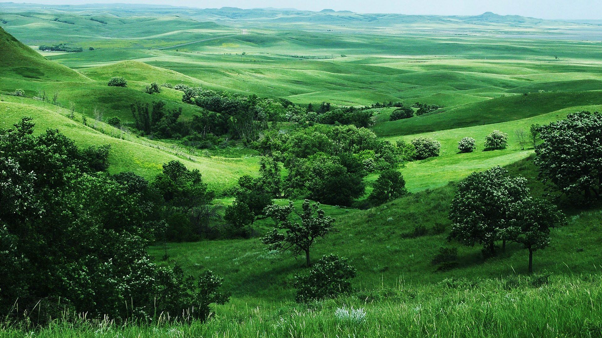 《仙国志》舍利坐标-华海博客