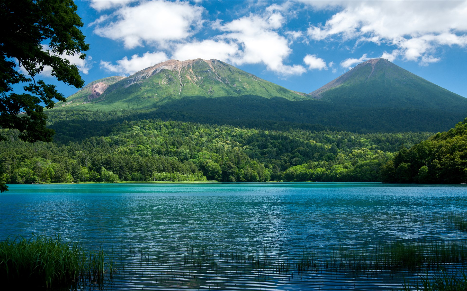 『美丽吉县』吉县微电影《妈妈》在爱微电影网首页连续播报-华海博客