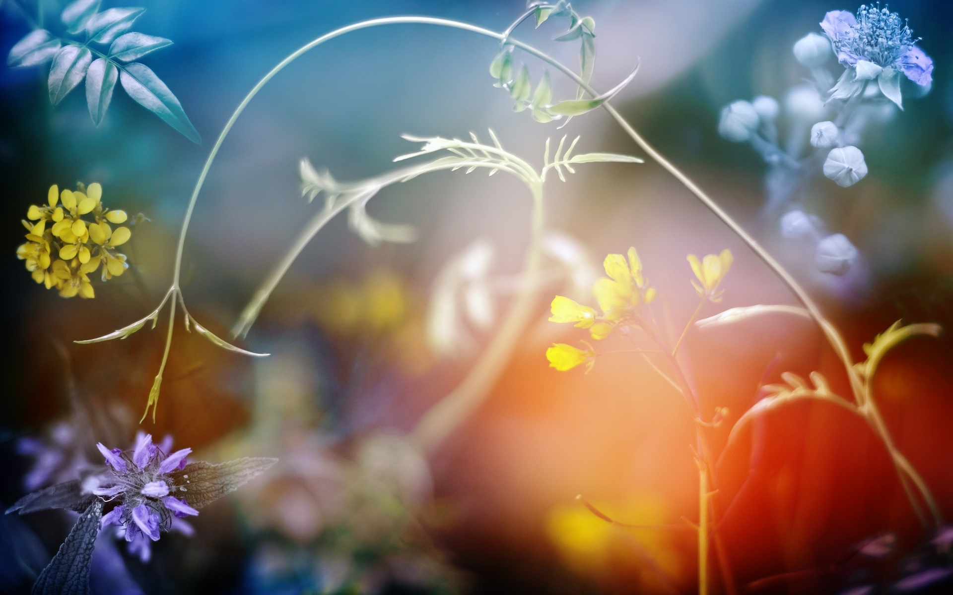 世界无烟日手抄报内容(世界无烟日手抄报，简单又漂亮，你学会了吗？)-华海博客