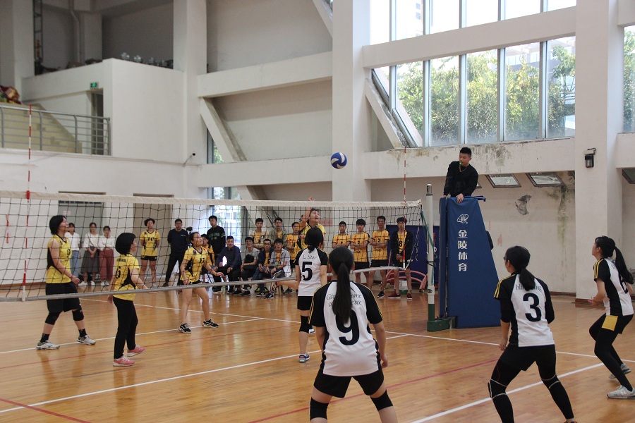 中国排球女将(中国女排史上6大主攻重炮手排名超乎想象)-华海博客