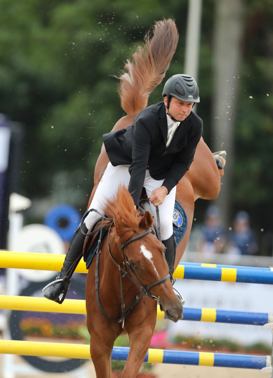 龙龙棒球网(金融聚焦“乡村旅游+”疏通“美丽乡村”发展大动脉)-华海博客