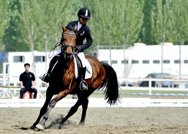 棒球手上垒(垒球和棒球的区别-垒球的动作要领)-华海博客