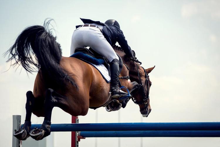 速滑用什么鞋子(短道速滑时速高达50公里,冰刀锋利无比,高速状态会割伤人吗?)-华海博客