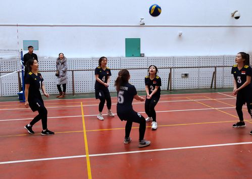 血统信仰两全其美，实拍进口大众高尔夫旅行版-华海博客